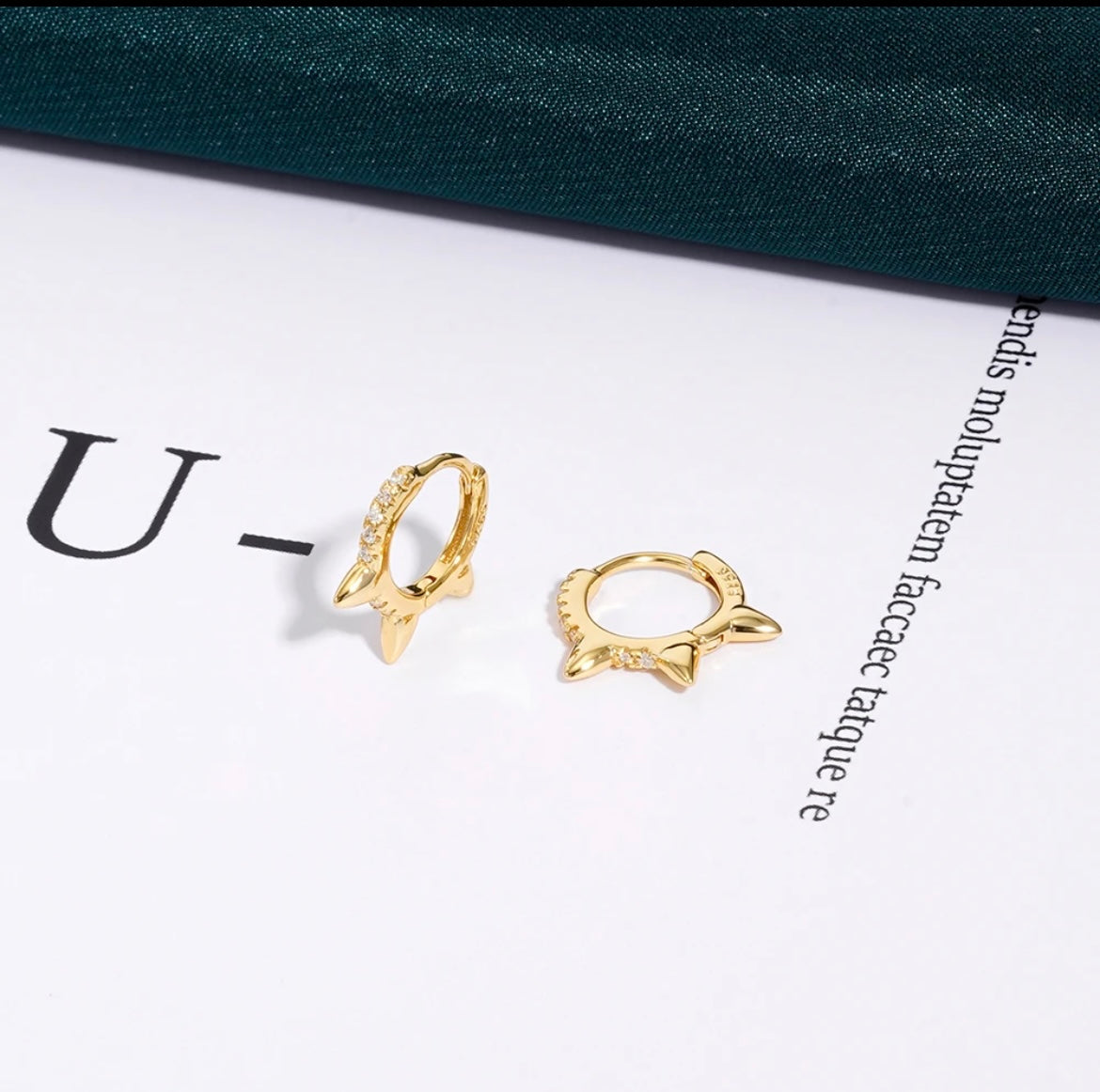 Bear Paw Earrings image 0