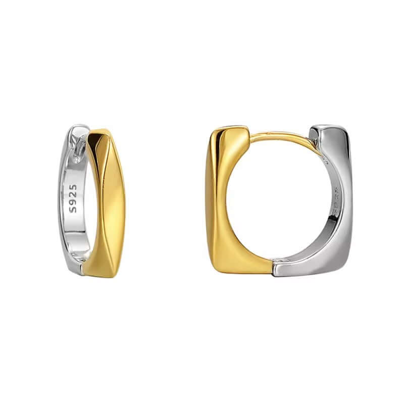 Two Tone Earrings