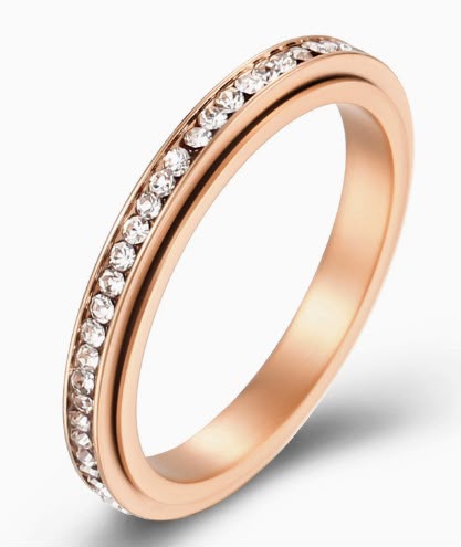 Rotating Ring Stainless Steel