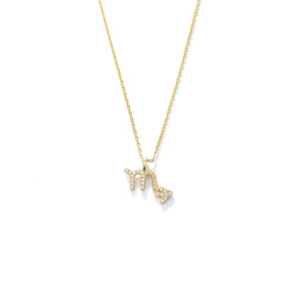 Zodiac Signs Necklace
