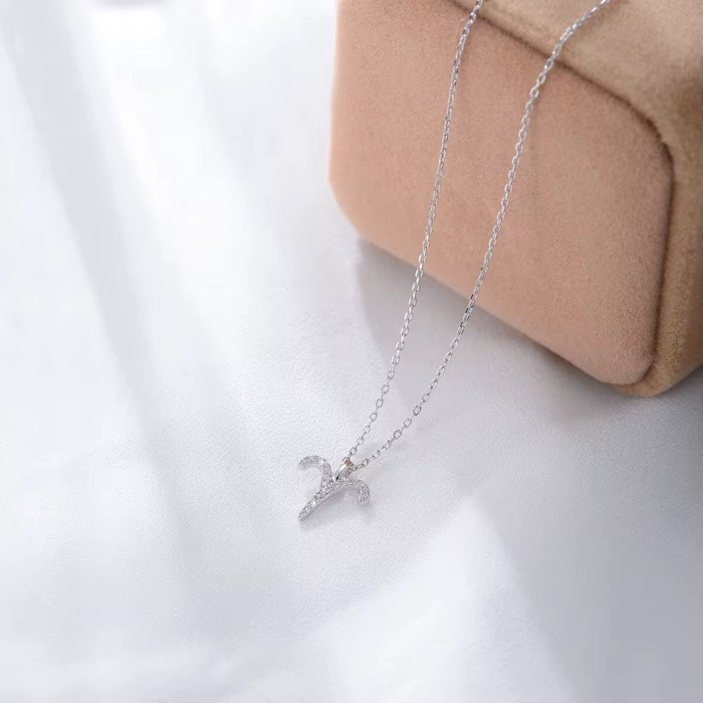 Zodiac Signs Necklace