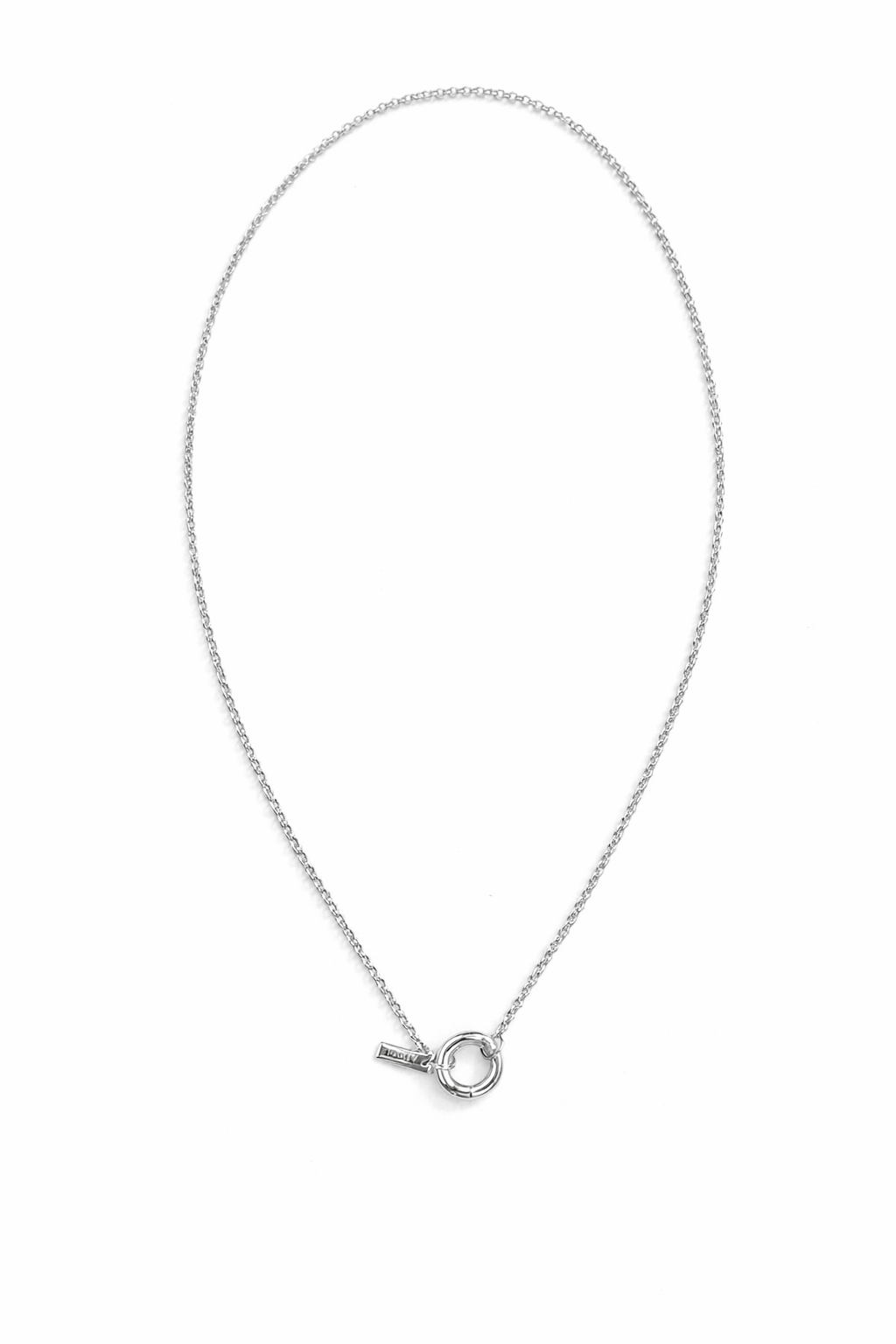 A horoscope zodiac Pendant