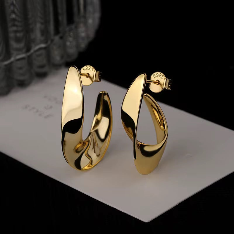 Twisted Hoop Earrings