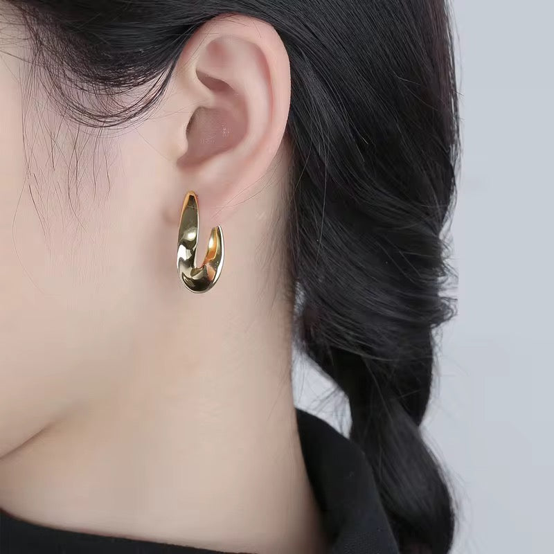 Twisted Hoop Earrings
