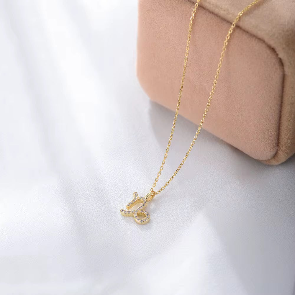 Zodiac Signs Necklace
