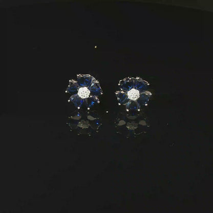 Blue Heart ZC Eerrings
